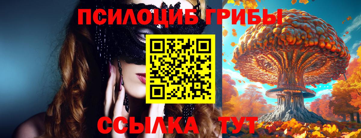 Похвистнево  Псилоцибиновые грибы Psilocybine cubensis  дарнет шоп  Вход с VPN 