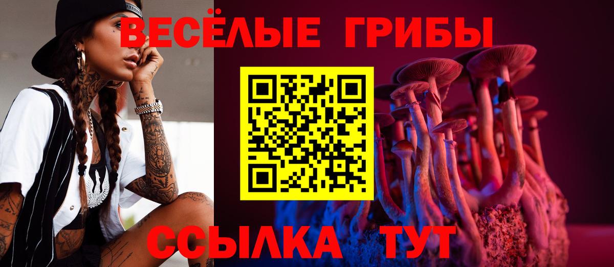Псилоцибиновые грибы Psilocybe Похвистнево